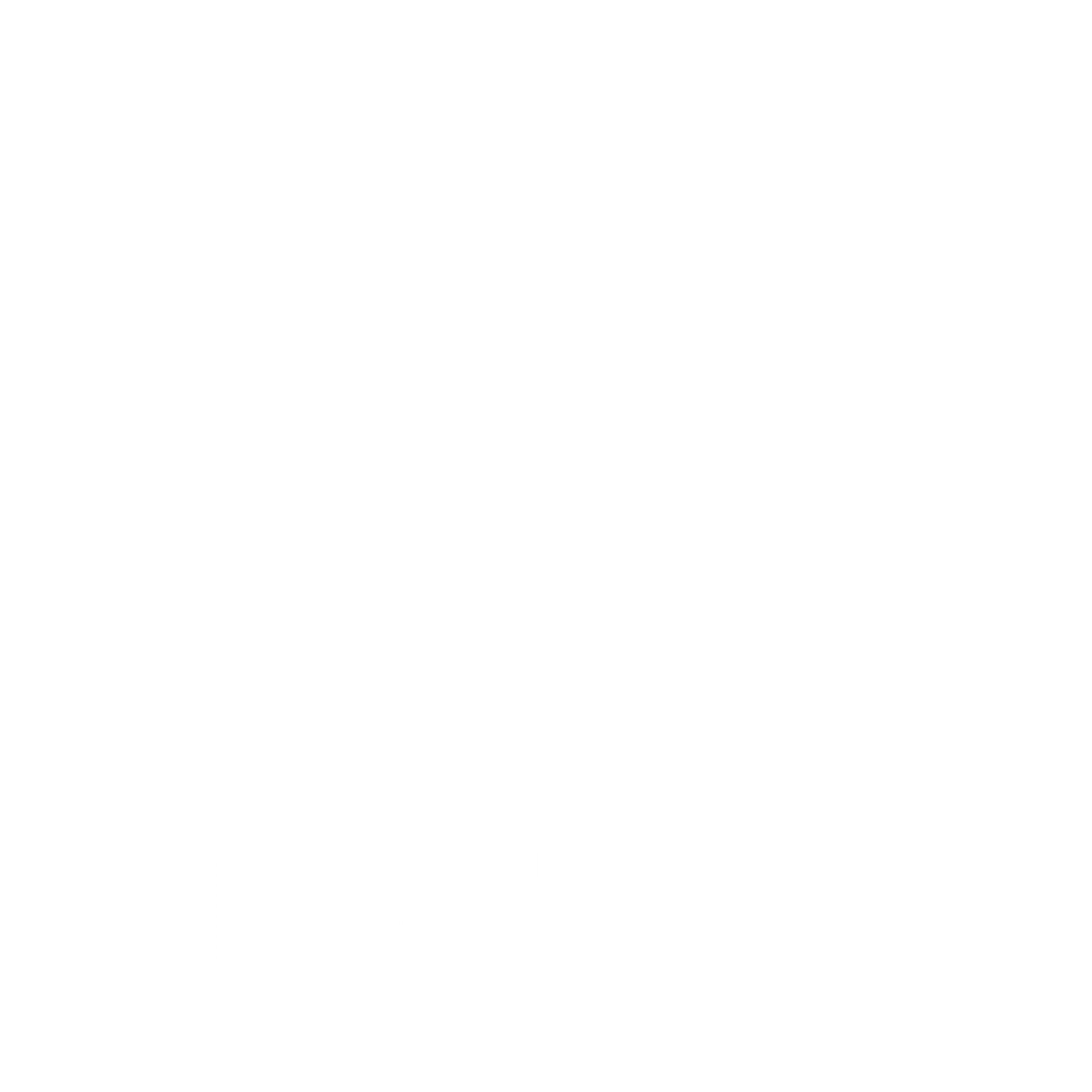 Logo UniSA White hires